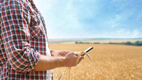 Farmer on iphone